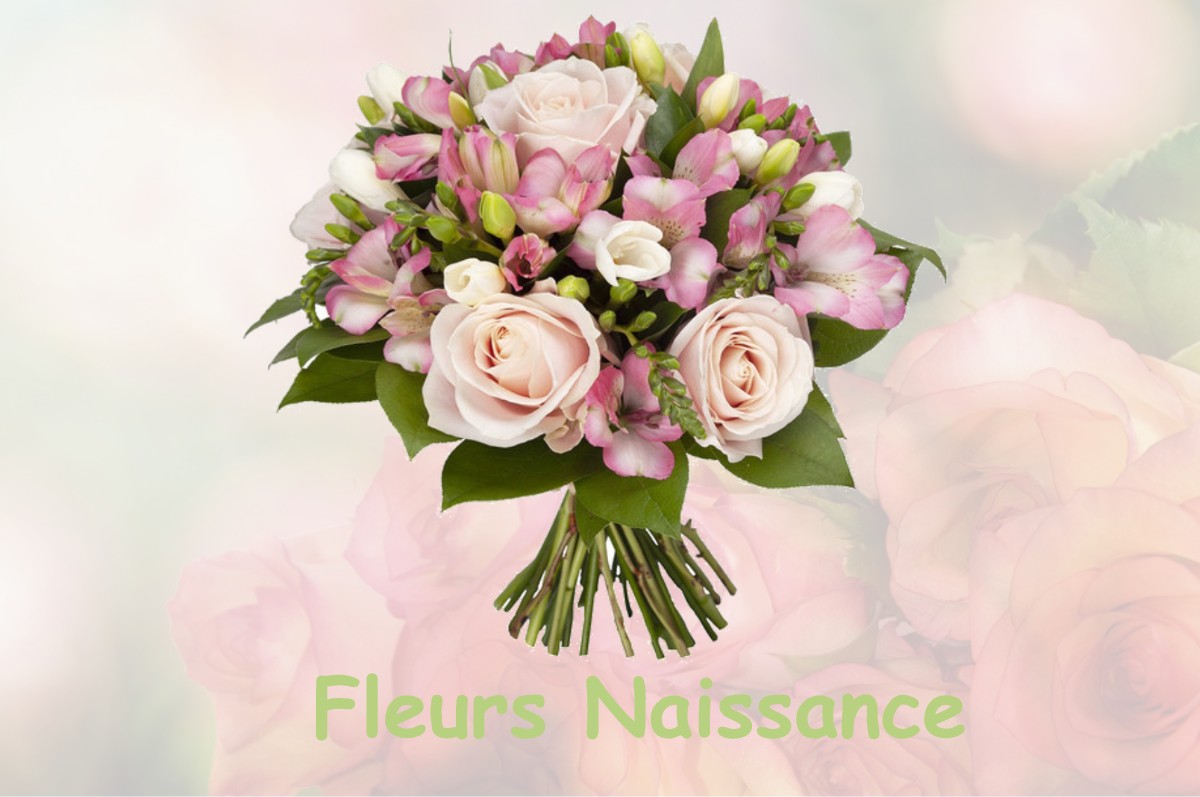 fleurs naissance BAZINCOURT-SUR-SAULX